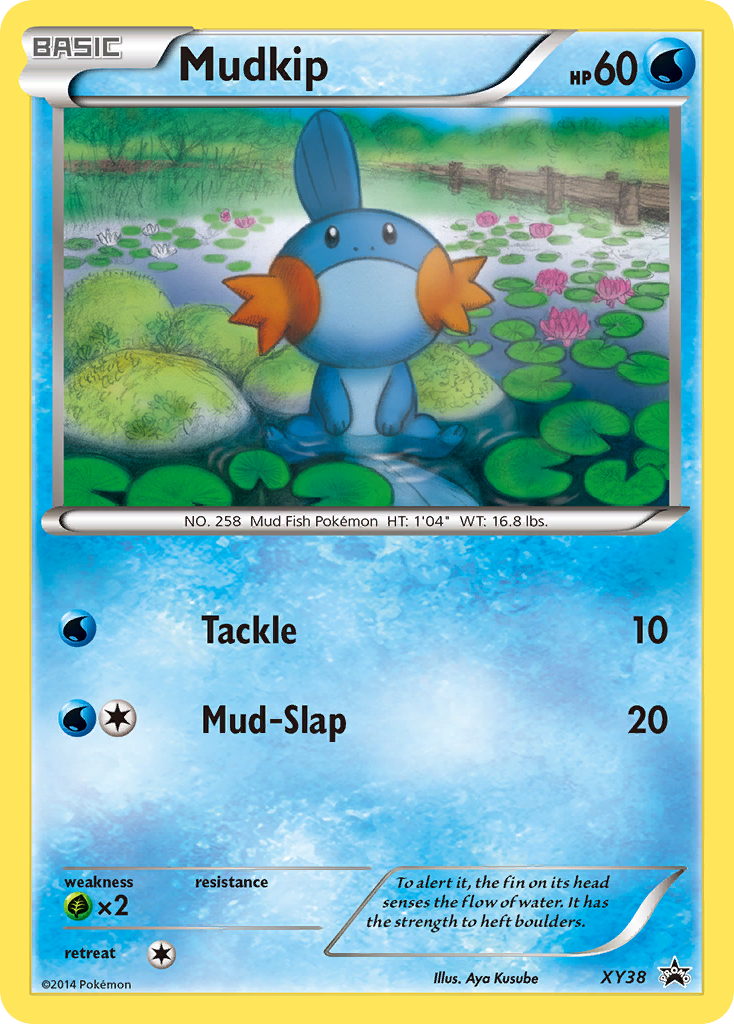 Mudkip